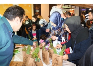 Samsun’da 3 Bin Fidan Dağıtıldı