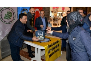 Yeni Yılda Ağaç Kesme Fidan Dik Kampanyası