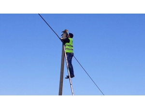 Yaramaz Kedi Telefon Direğinde Mahsur Kaldı