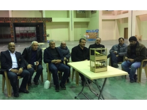 Kahramanmaraş’ta Kanaryalar Yarıştı