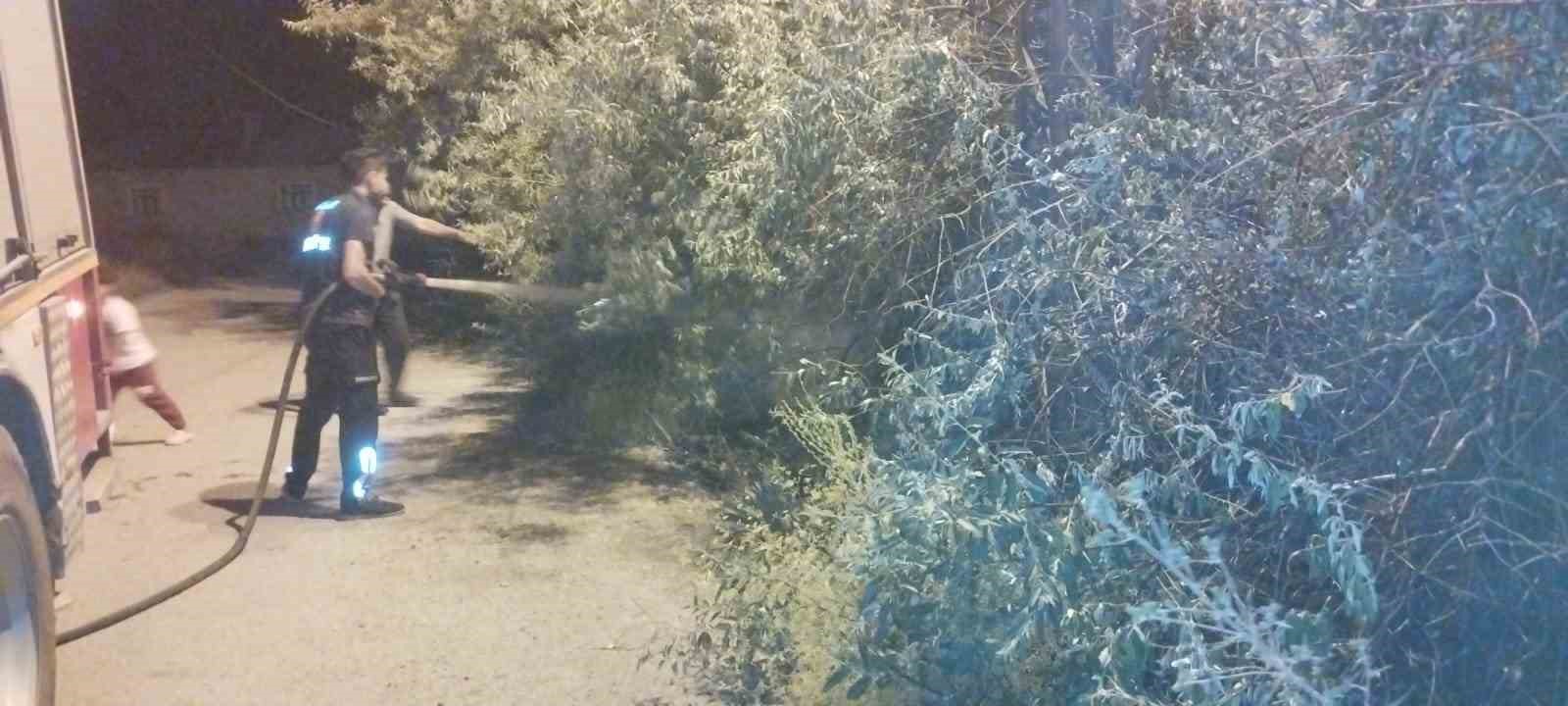 van-da-bahce-yangini-korkuttu