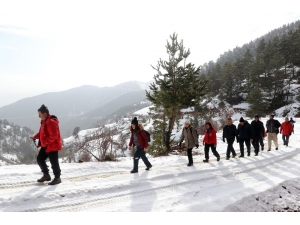 Doğa Yürüyüşleriyle Huzur Buluyorlar