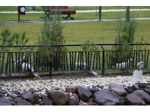 Manisa’da Park İçindeki Derede Oluşan Köpükler Tedirgin Etti