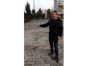 Dikiş İpliğini Andıran Canlı Görenleri Şaşkına Çevirdi