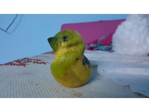 Muhabbet Kuşu Değil Limon