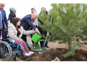 Kocasinan Belediyesi Yeşil Alanda Rekor Kırdı