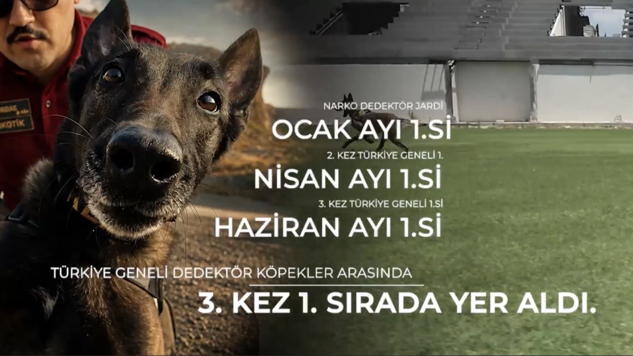 narkotik-kopegi-jardi-ucuncu-kez-zirvede