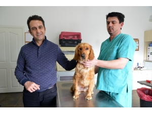 Doğal Yaşam Merkezi Başarılı Bir Yıl Geçirdi