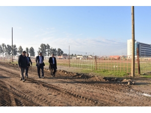 Nazilli Deve Güreşi Sahası Yenileniyor