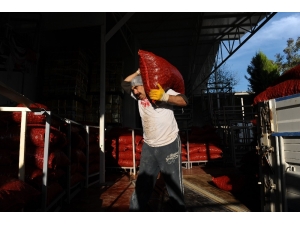 Şekerlemecilerin Kestane Alımı Yarı Yarıya Düştü