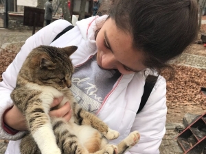 Öğrenciler Kedi Kasabası’nı Gezdi
