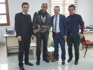 Yaralı Şahin, Milli Parklar Şefliği’ne Teslim Edildi