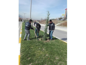 Simav’da 960 Fidan Toprakla Buluştu