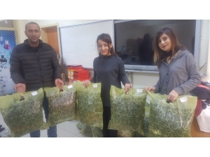 İstanbul’dan Van’a Kardeşlik Eli