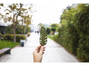 Teşekkür Belgeleri Ağaçlara Dönüşüyor