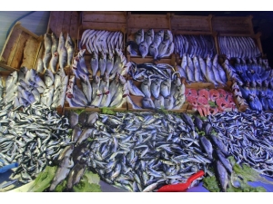 Balık Az, Fiyatı Çok