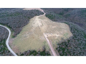 Sepetçi Köyü’ne 2 Bin 300 Ağaç