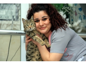 Sağlık Çalışanları Kedilere Sahip Çıktı