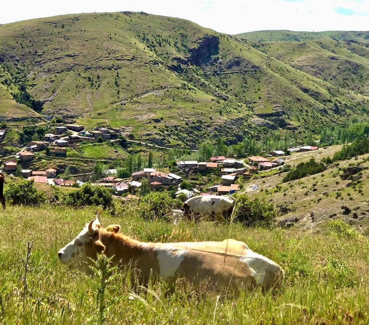 kirsal-dezavantajli-alanlara-yonelik-calismalar-suruyor
