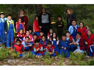 20 Bin Öğrenci Kuşlar İçin Seferber Oldu