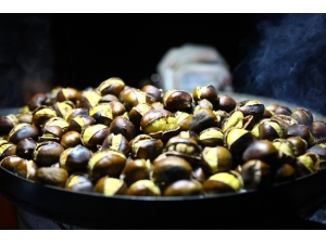 Bir Kış Klasiği “Kestane”