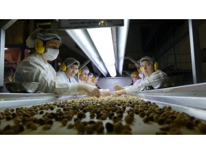 Organize Sanayide Kadın Damgası