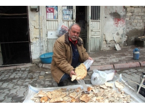 Kuru Ekmekler Hayvan Yemi Oluyor