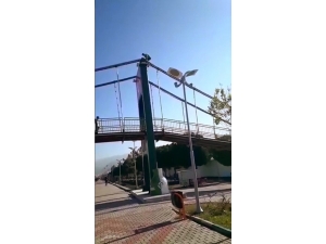 Köprüde Tehlikeli Oyun