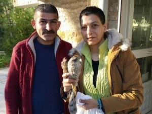 Ateşli Silahla Yaralanan Atmaca Tedaviye Alındı