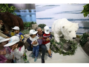 Ödüllü Karikatürler Evrensel Çocuk Müzesi’nde