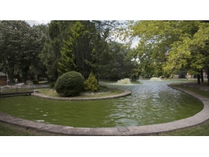 Anadolu Üniversitesi Daha Yeşil Kampüsler İçin Çalışmalarını Sürdürüyor