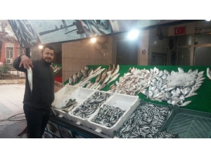 Siirt’te Balık Çeşitlerine Rağbet Artıyor