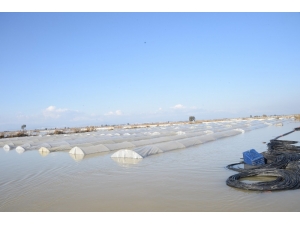 Mersin’de Şiddetli Yağışların Zararı 115 Milyon Lira