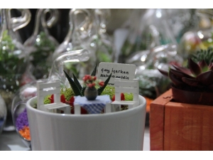 Romantiklerin Yeni Tercihi ’Kaktüs Teraryum Saksısı’