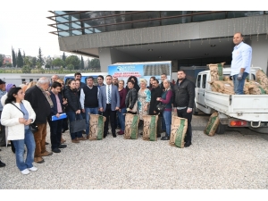 Çukurova Belediyesi’nden Kedilere Her Ay Mama