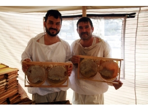 Balder Başkanı Çalca’dan Açıklama: Balın Aracı Olamadan Tüketiciye Ulaşmasını Arzuluyoruz