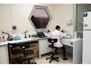 ’Bal’lı Kazanç Dönemi Bitti