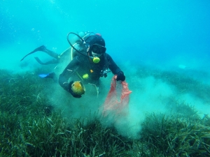 Deniz Dibi Temizliğinde Çıkan Küvet Görenleri Şok Etti