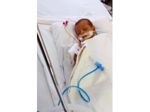 Hatice Nur Bebek Karaciğer Bekliyor