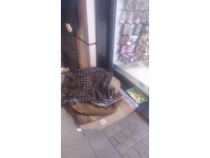 Hayvan Sevgisinin En Tatlı Fotoğrafı