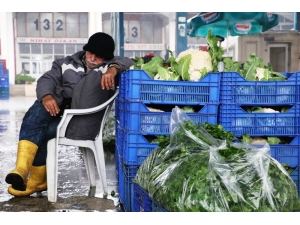 Sebzede Karnabahar Depremi