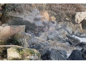 Sakarya Nehri’ne Akan Kimyasal Atık Nehri Siyaha Bürüdü