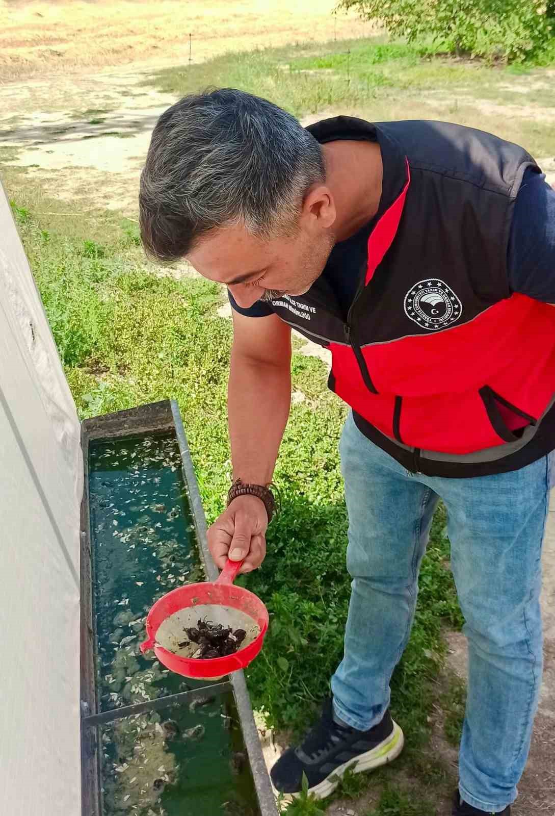 haziran-bocegiyle-mucadele-suruyor