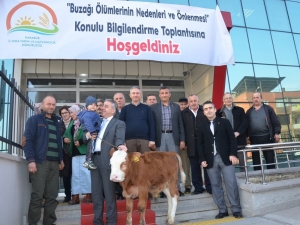 Tarım Müdürlüğünden ‘Buzağı Ölümlerinin Nedenleri Ve Önlenmesi’ Toplantısı