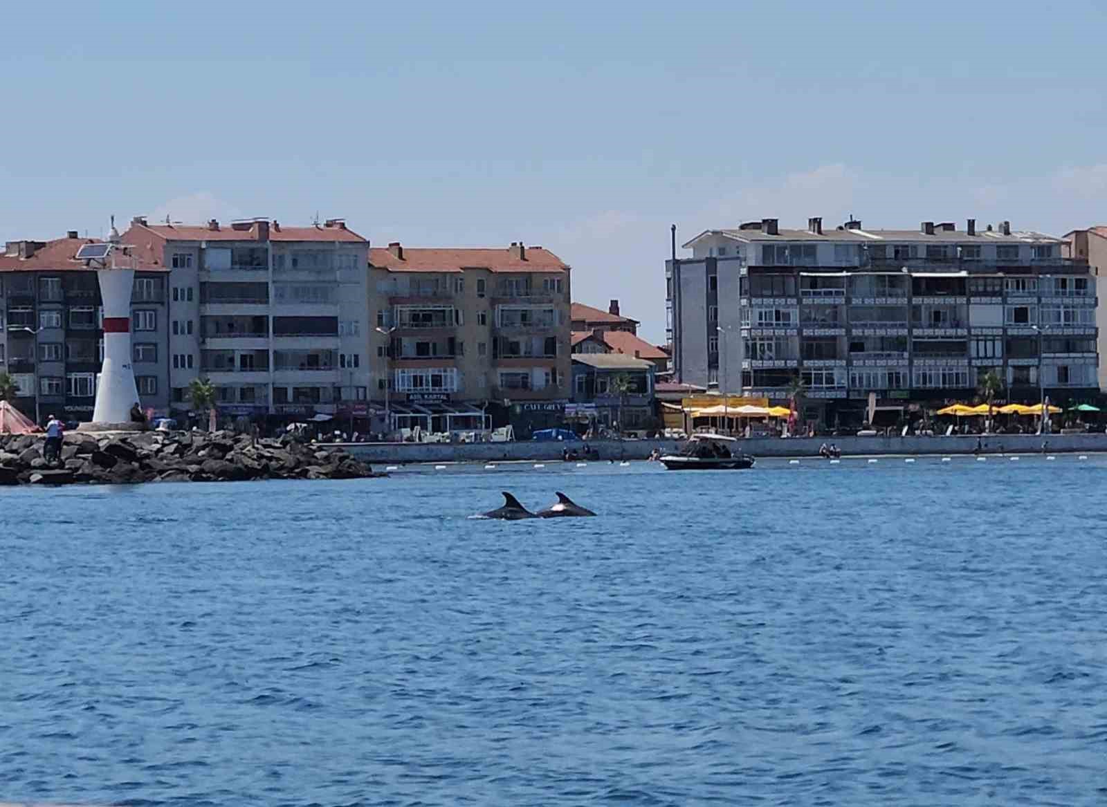 marmara-nin-surpriz-misafirleri-iki-yunus-teknenin-yaninda-goruntulendi