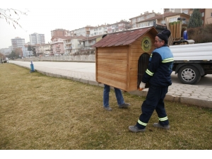Sokaktaki Dostların Evleri Çoğalıyor