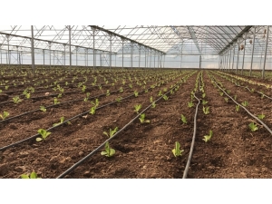 Sera Yatırımları Devam Ediyor