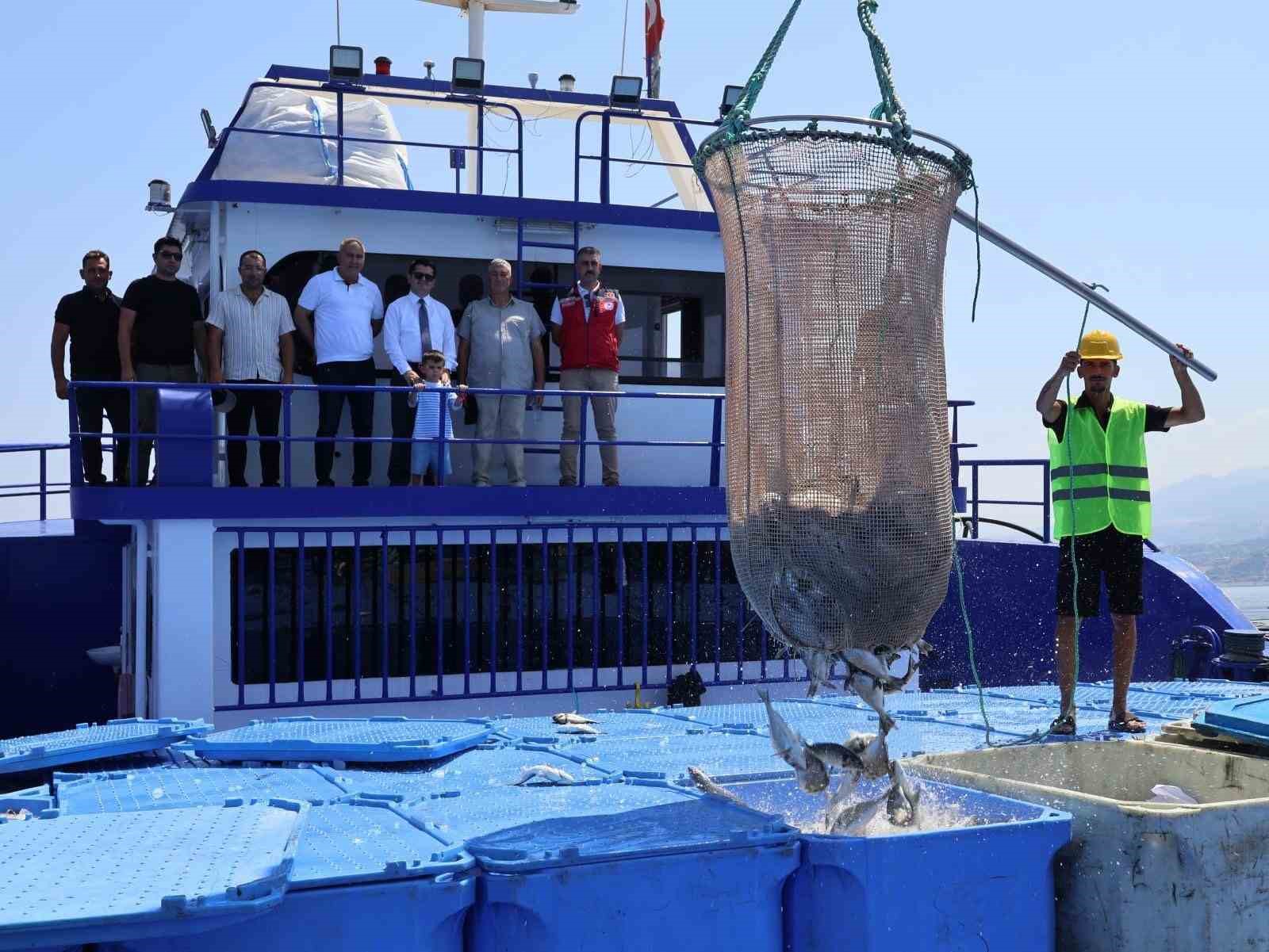 arsuz-da-uretilen-baliklar-avrupa-ya-ihrac-ediliyor