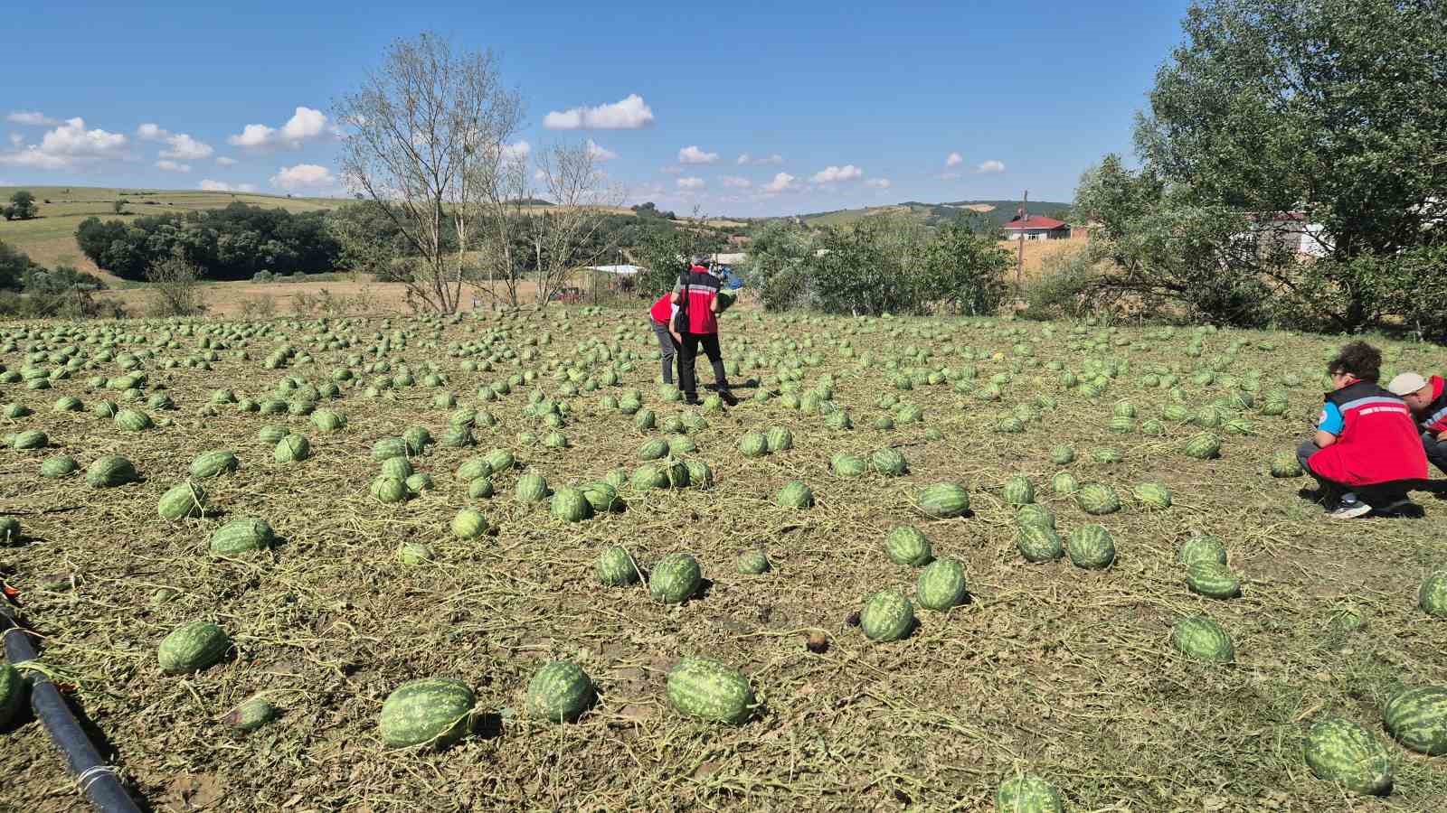 super-hucre-tekirdag-i-vurdu-4-koy-zarar-gordu