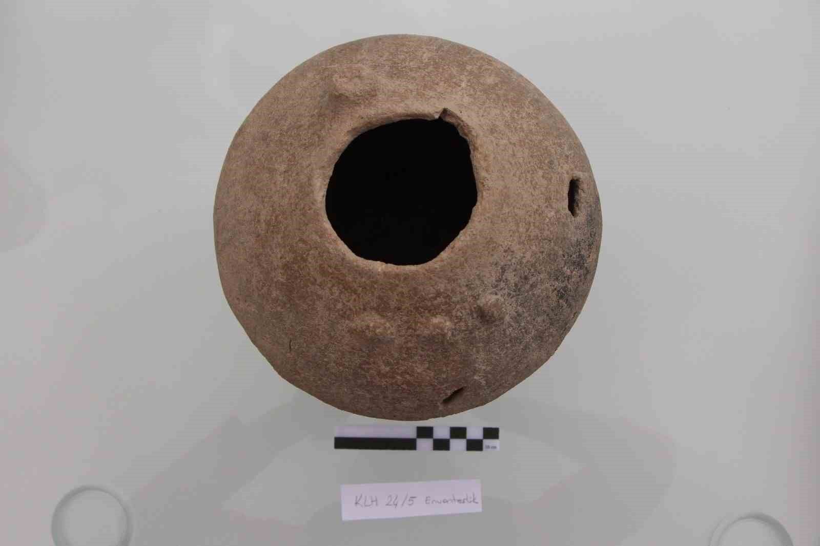 kulhoyuk-te-4-bin-yillik-hitit-kabinin-icerisinde-sevgi-cicegi-nin-eski-tohum-kalintilari-bulundu